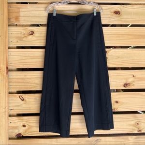 Ann Taylor Cropped Pants